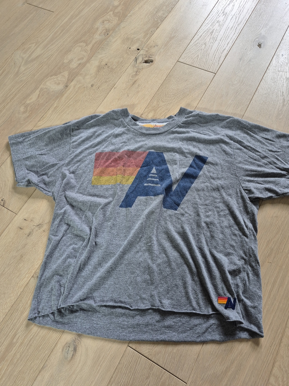 Aviator Nation Boyfriend Tee